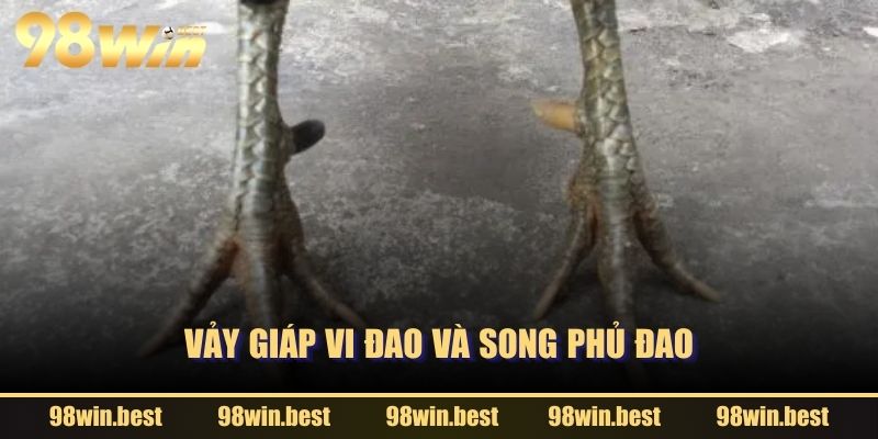 Vảy Giáp Vi Đao và Song Phủ Đao