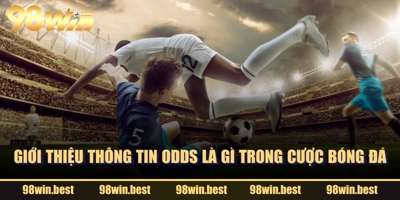 Giới thiệu thông tin Odds là gì trong cược bóng đá