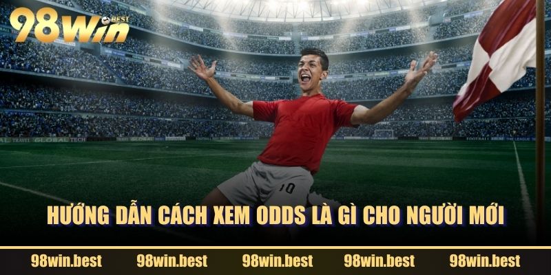 Hướng dẫn cách xem Odds là gì cho người mới