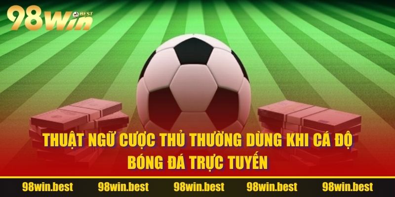 Thuật ngữ cược thủ thường dùng khi cá độ bóng đá trực tuyến