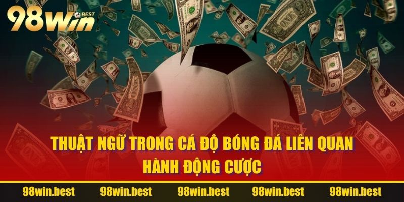 Thuật ngữ trong cá độ bóng đá liên quan hành động cược