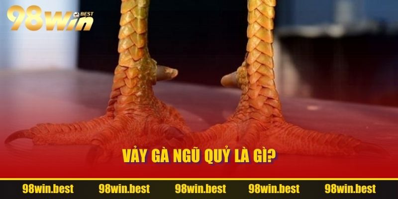 Vảy Gà Ngũ Quỷ là gì?