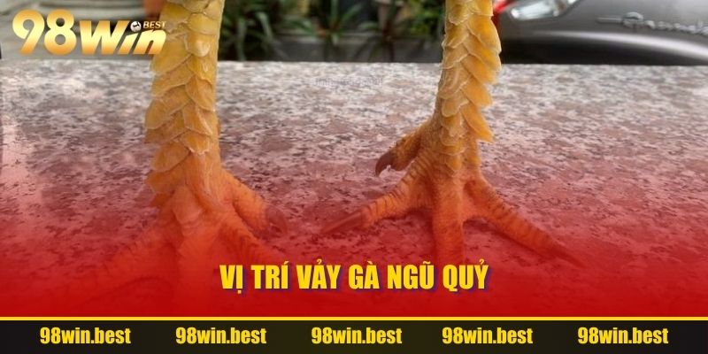 Vị trí Vảy Gà Ngũ Quỷ