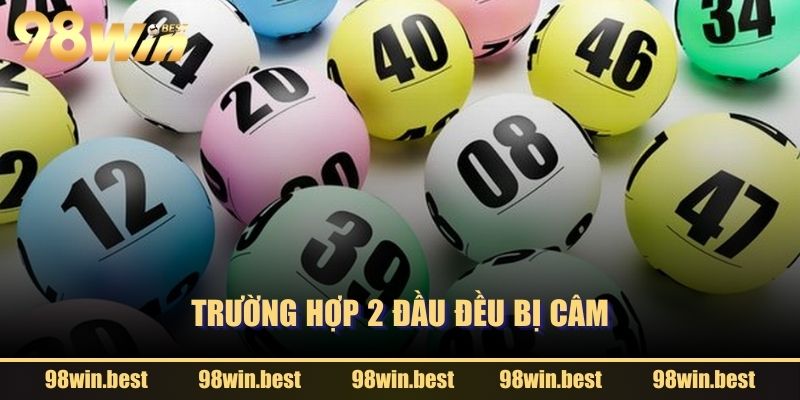 Trường hợp 2 đầu đều bị câm